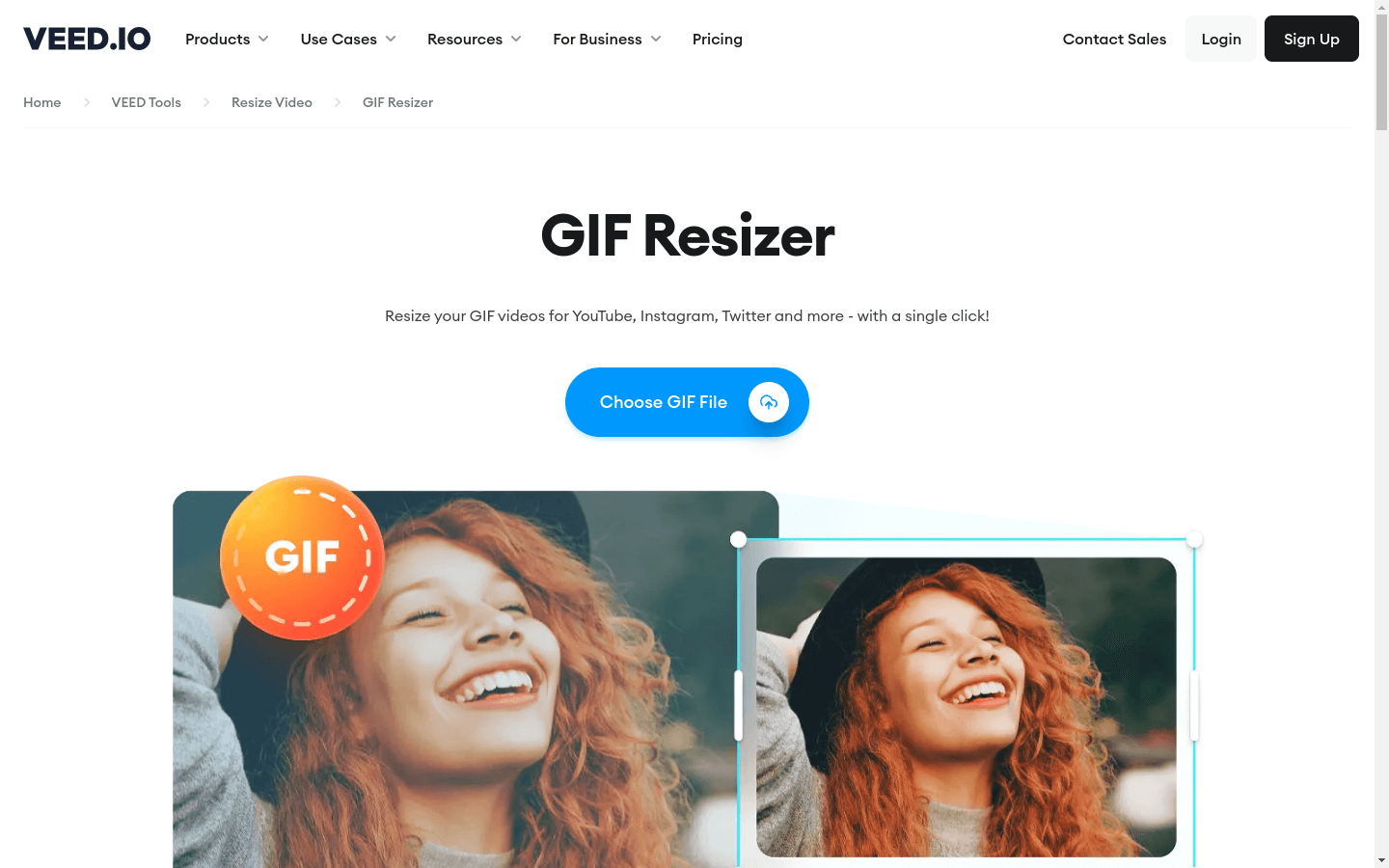 Editor- GIF Video Resizer preview