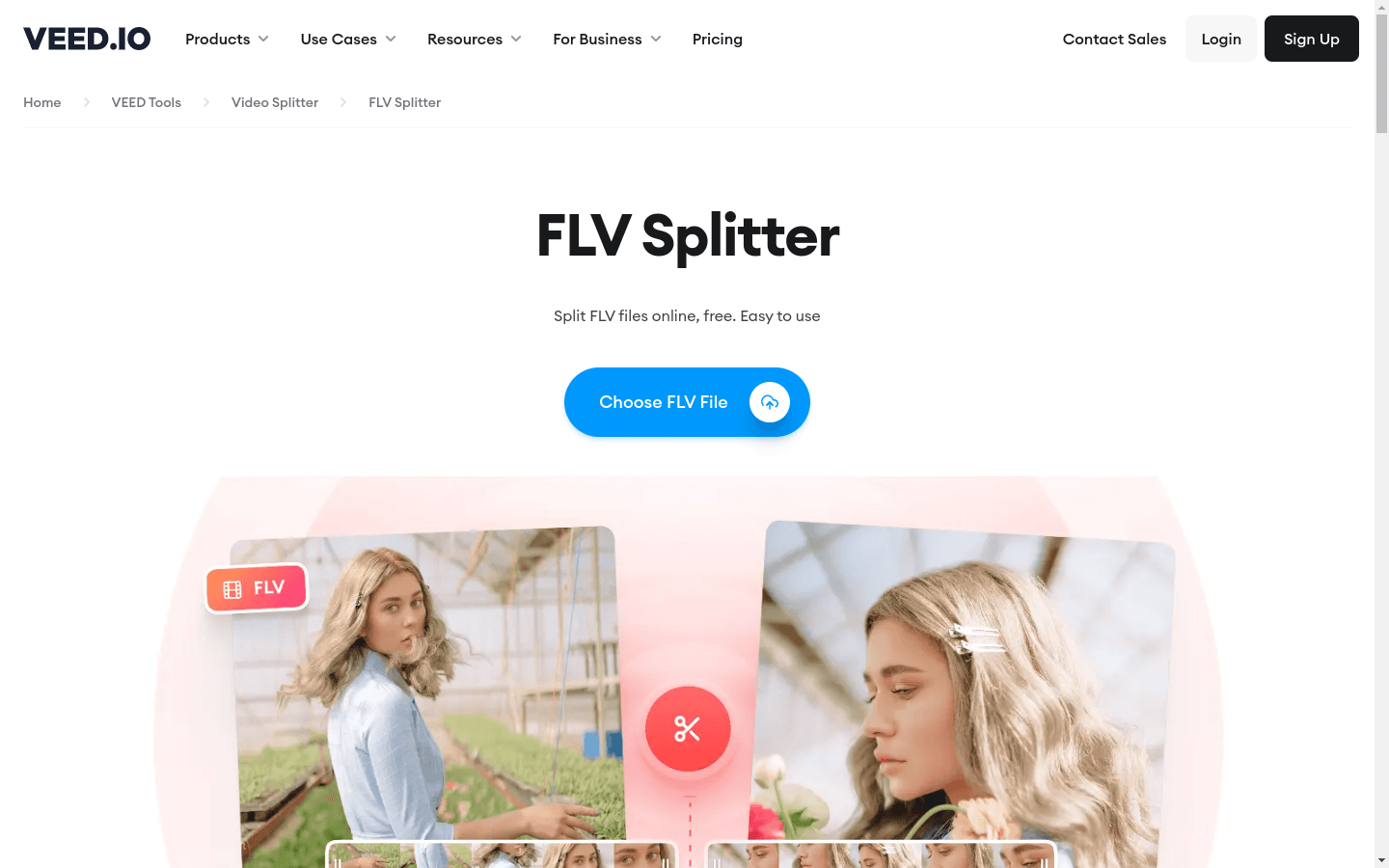 FLV Splitter preview