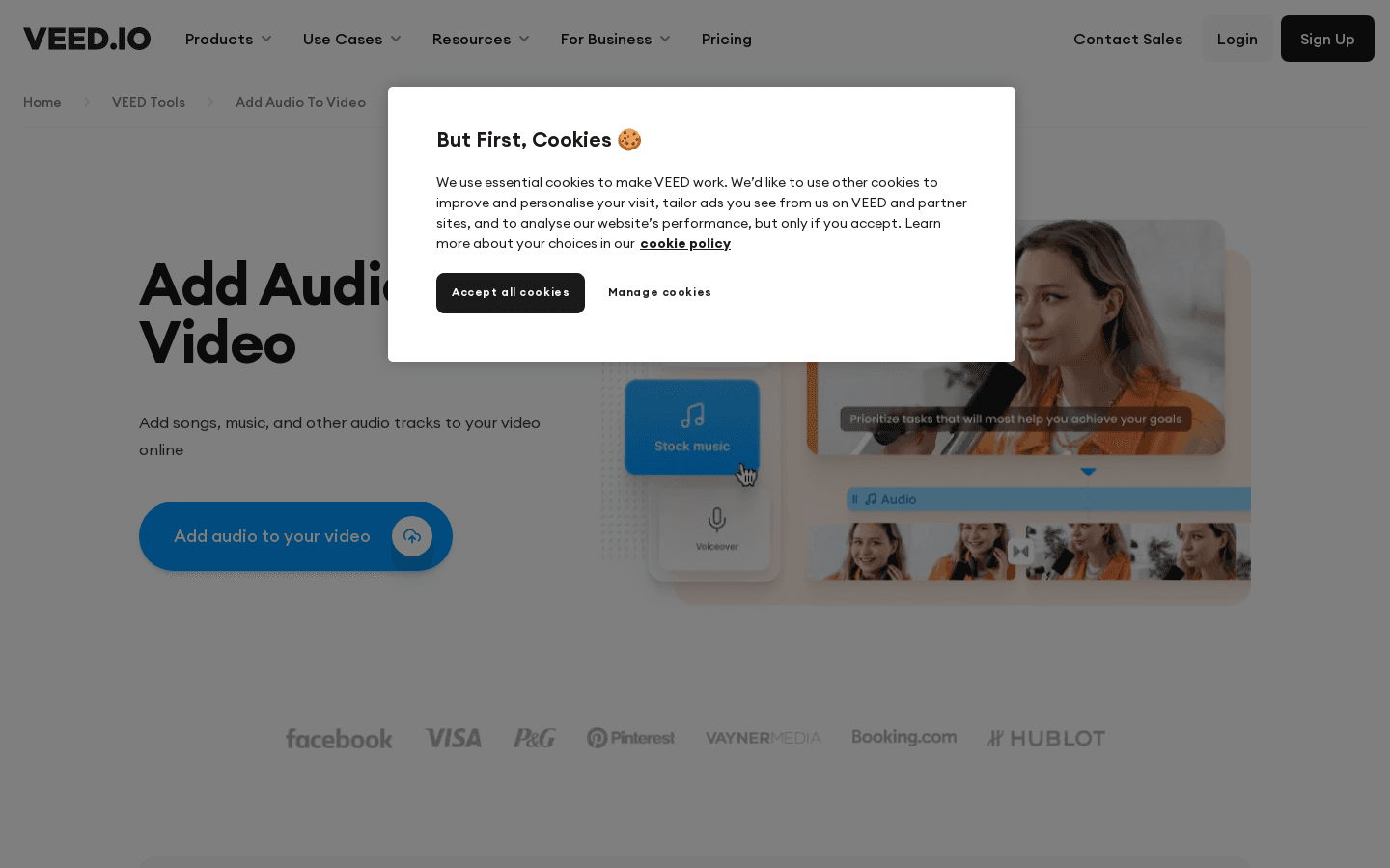 Add Audio to Video preview
