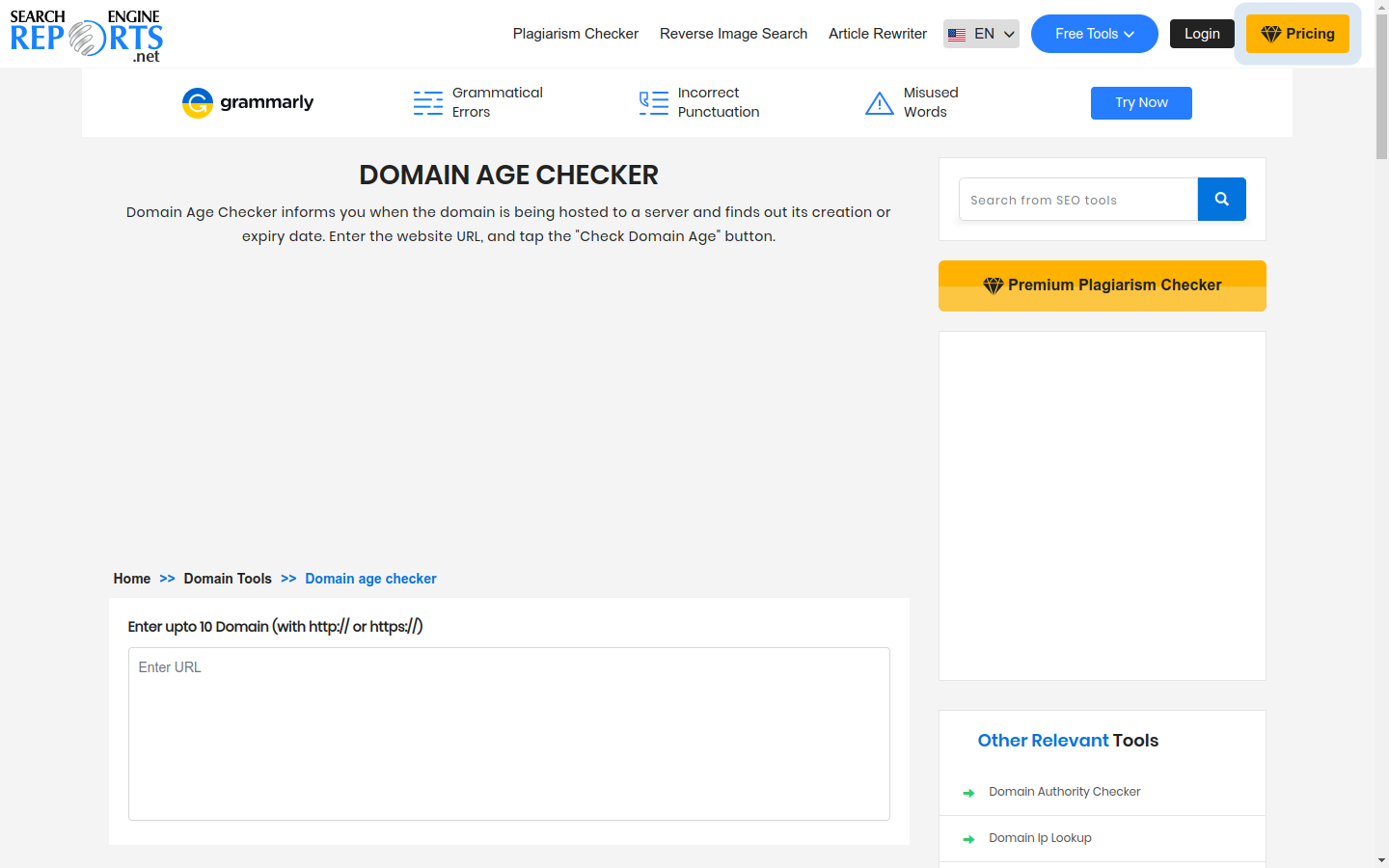 Domain Age Checker preview