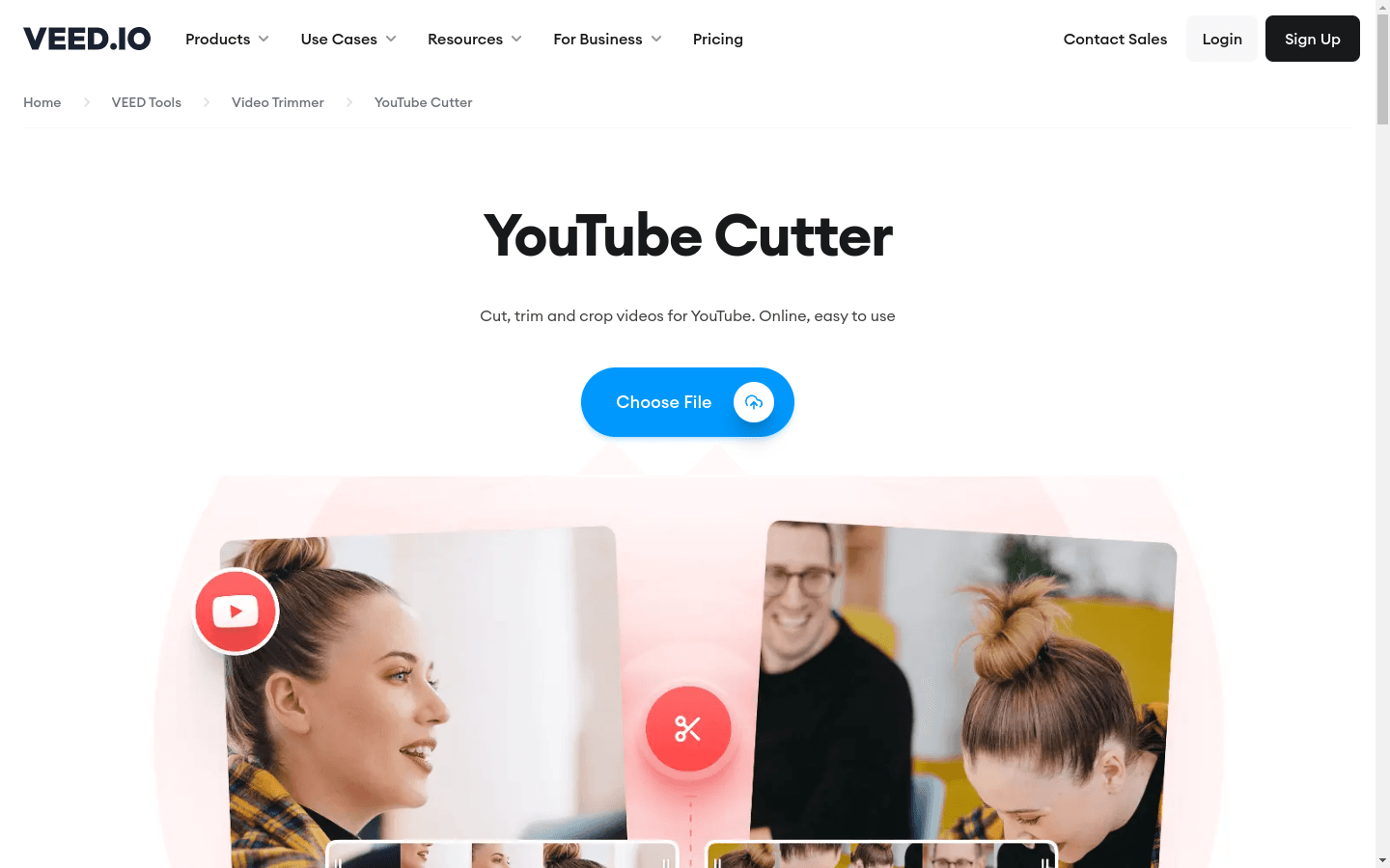 YouTube Cutter preview