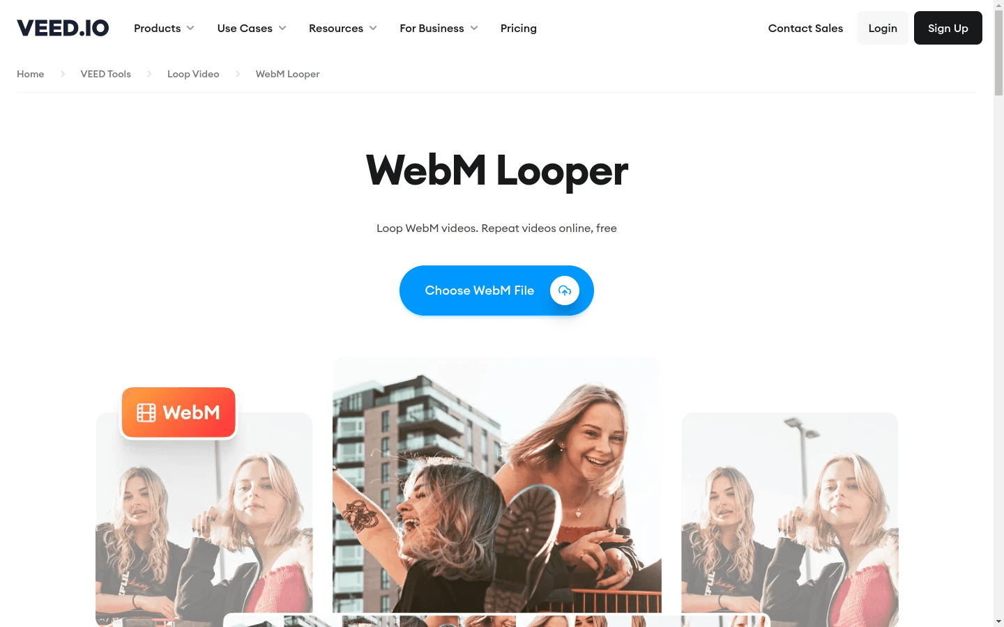 WebM Video Looper preview