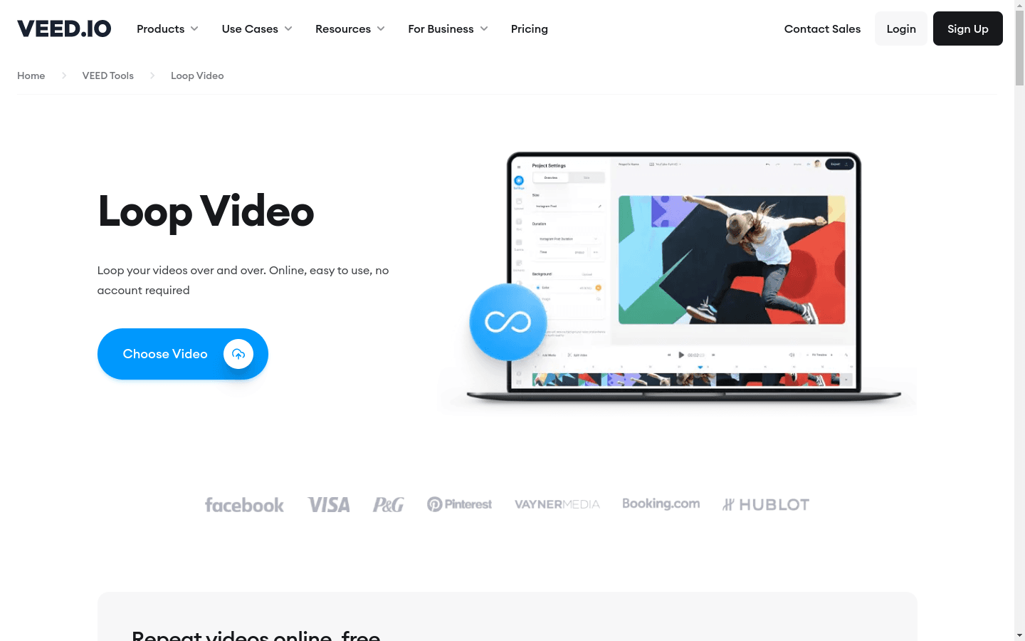 Video Looper preview