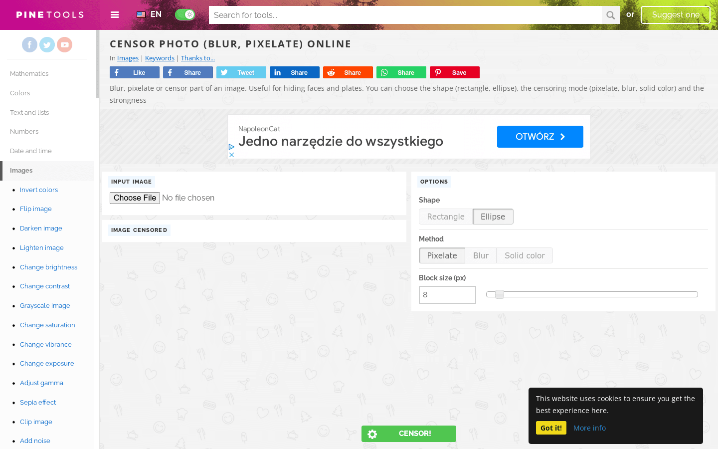 Censor photo preview