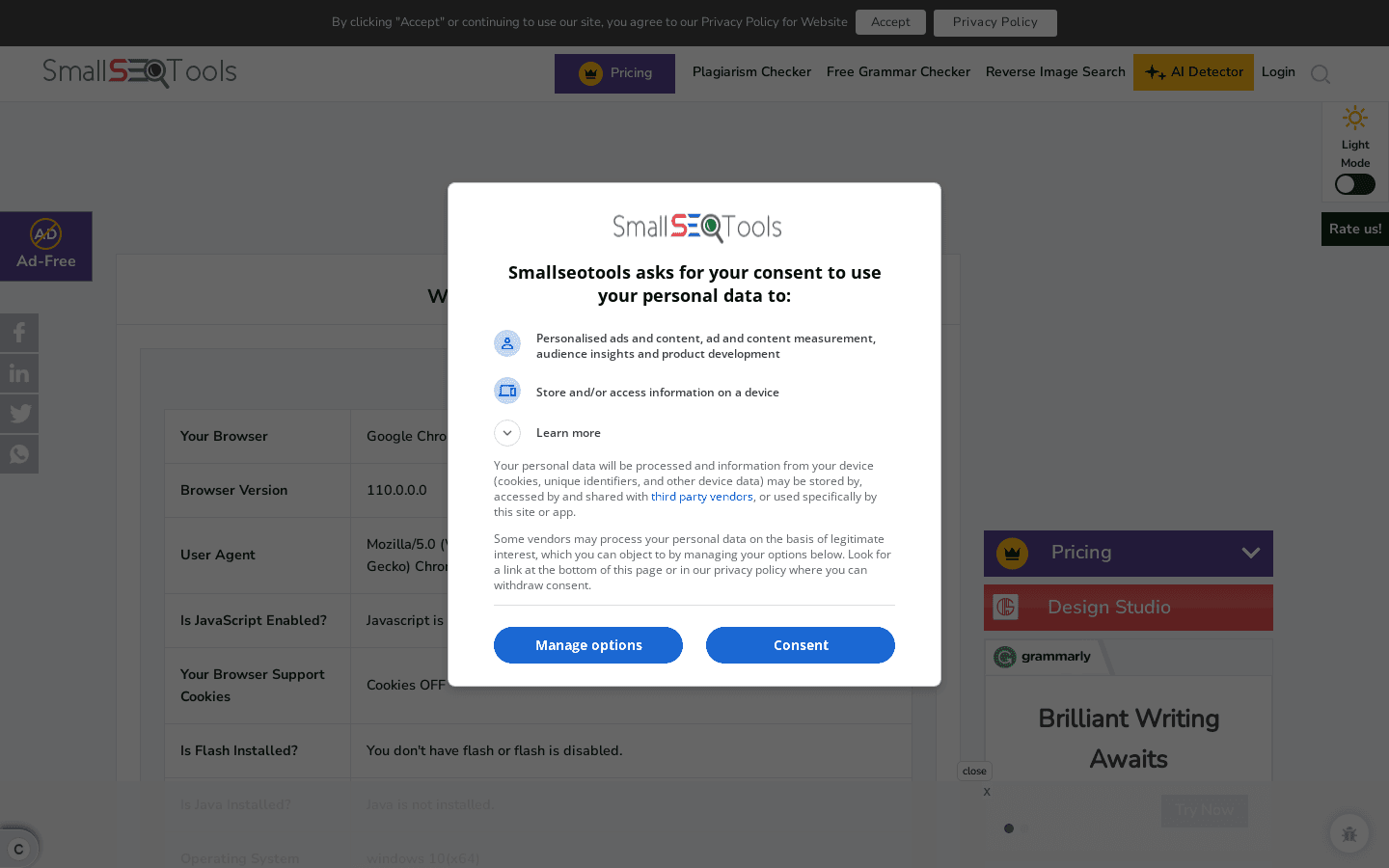 What Is My Browser preview