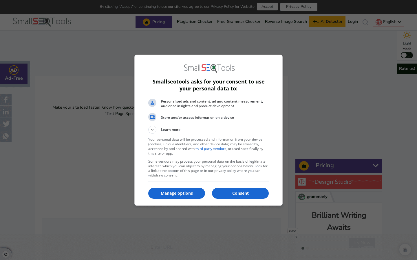 PAGE SPEED TEST preview
