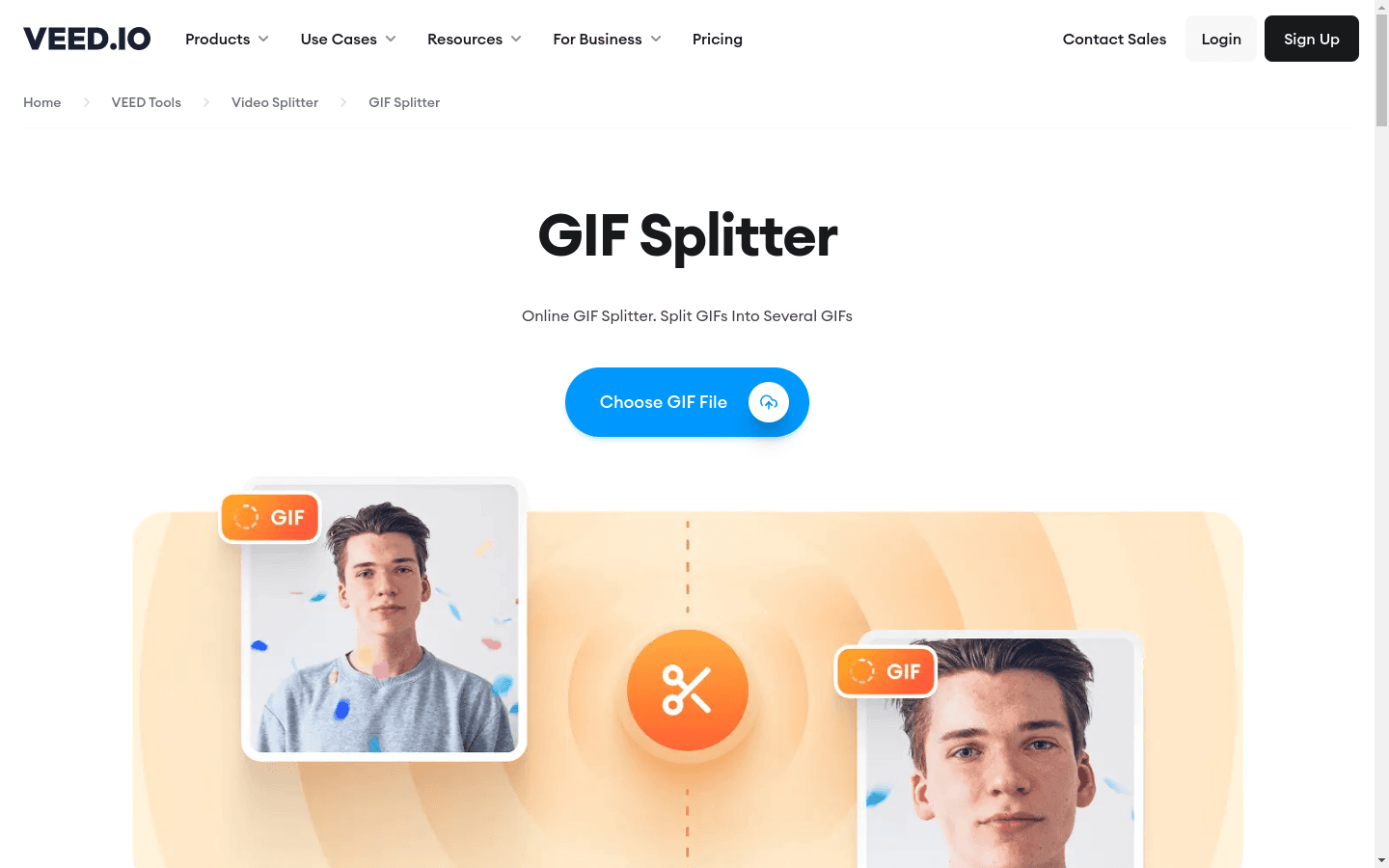 Split Animated GIF Images preview