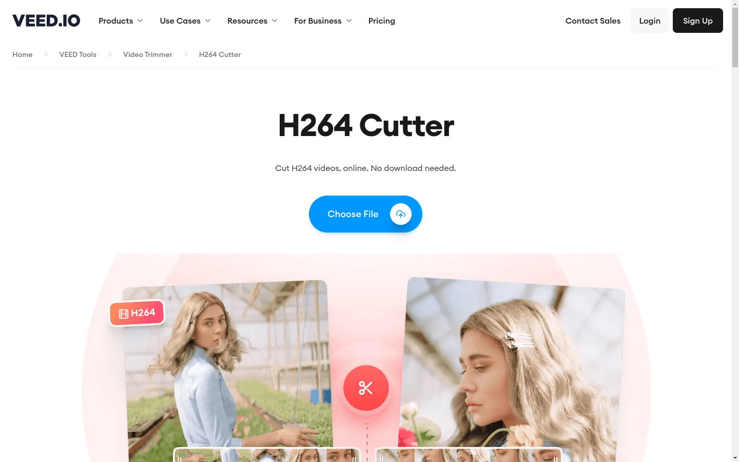 H264 & MP4 Video Editor preview