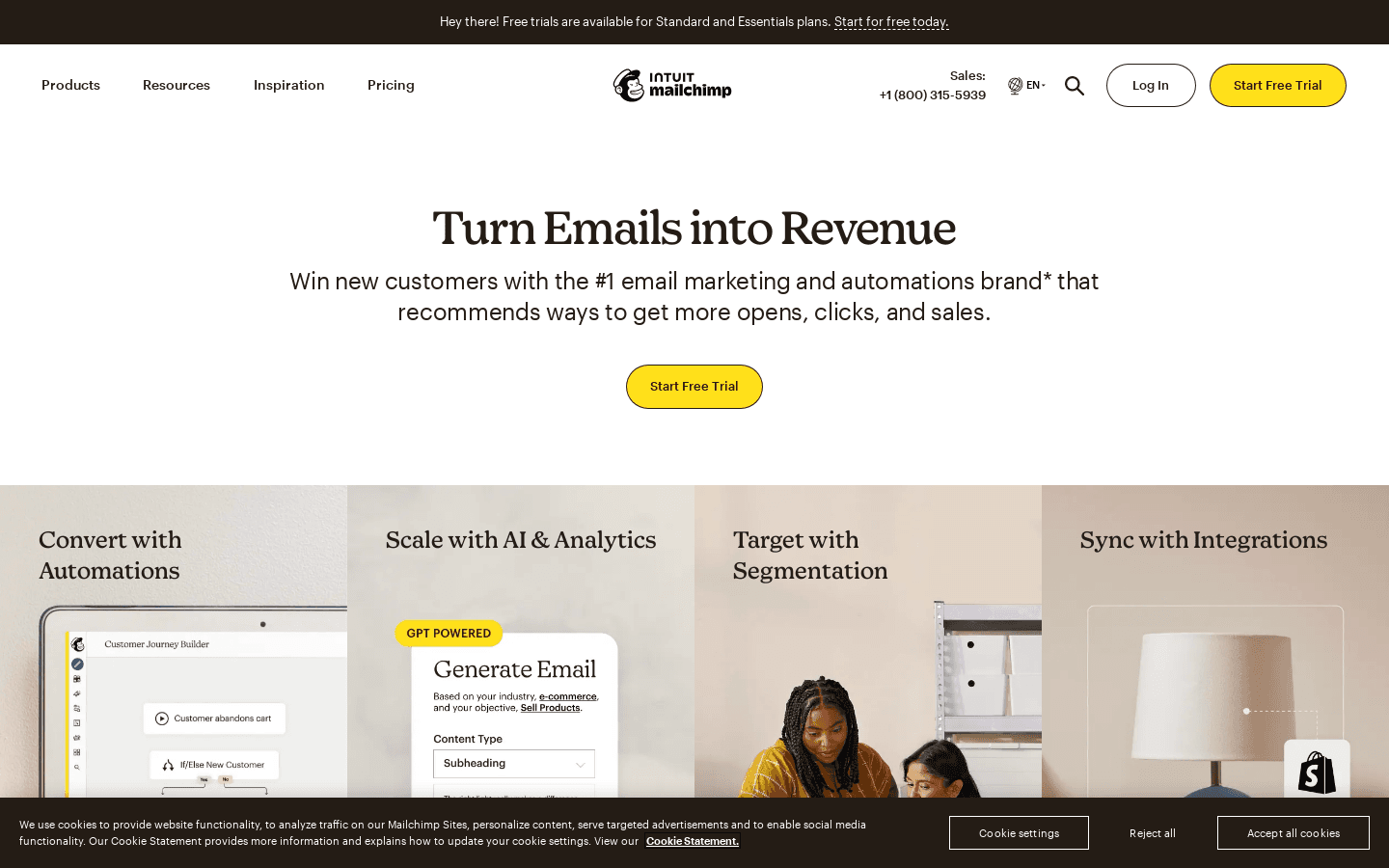 Mailchimp Email Marketing preview