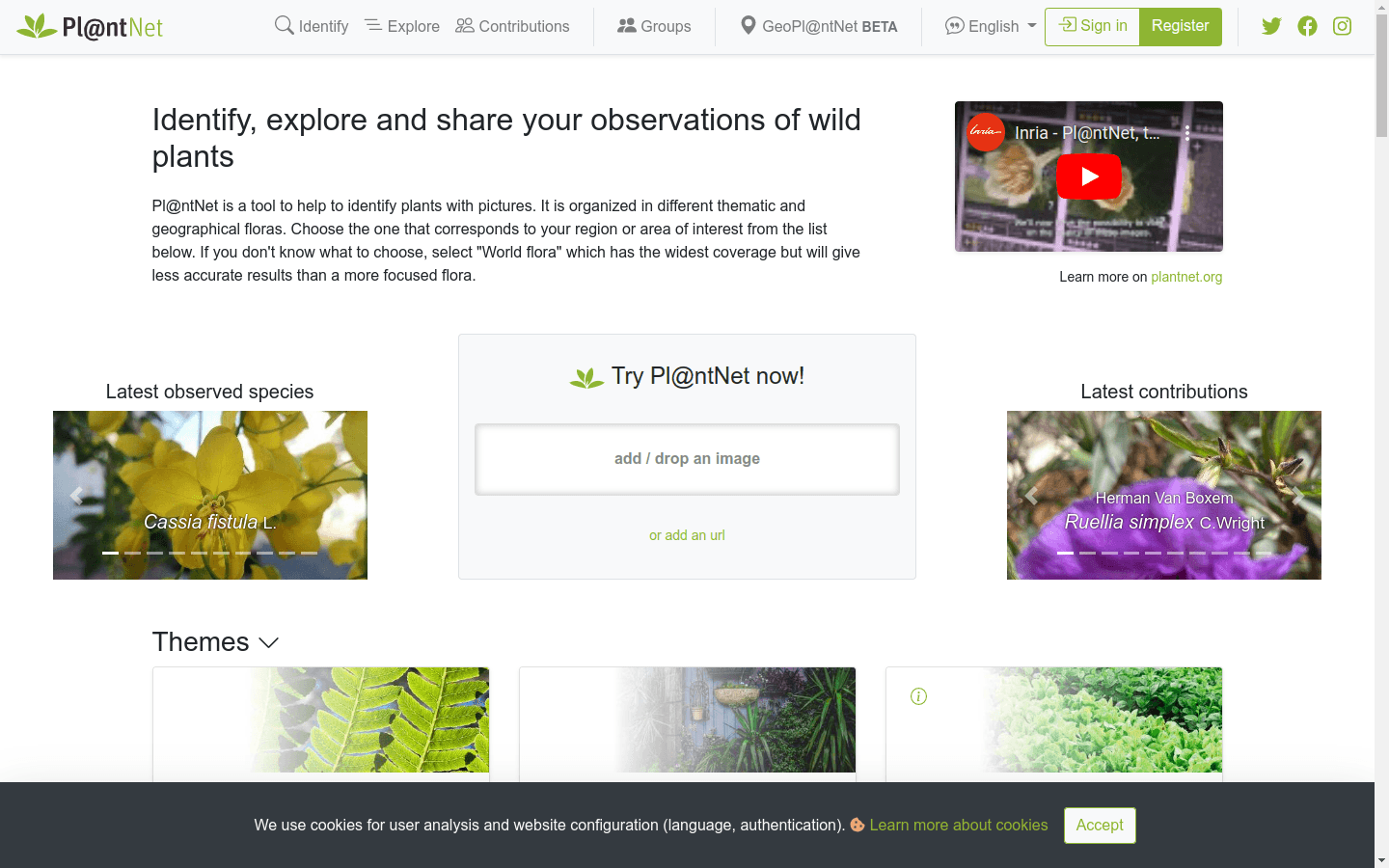 Pl@ntNet Identify preview