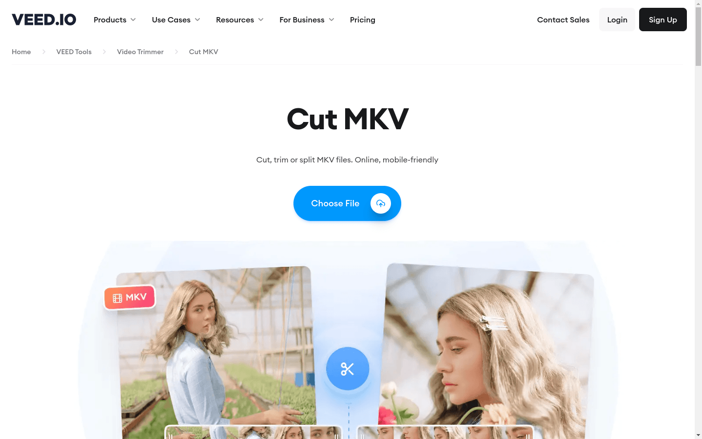 MKV Video Editor preview