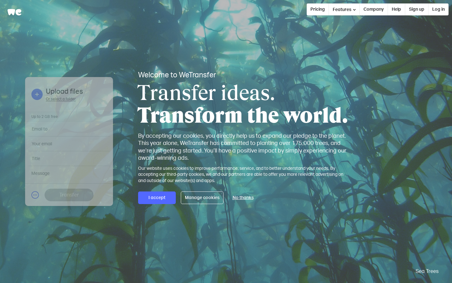 WeTransfer preview
