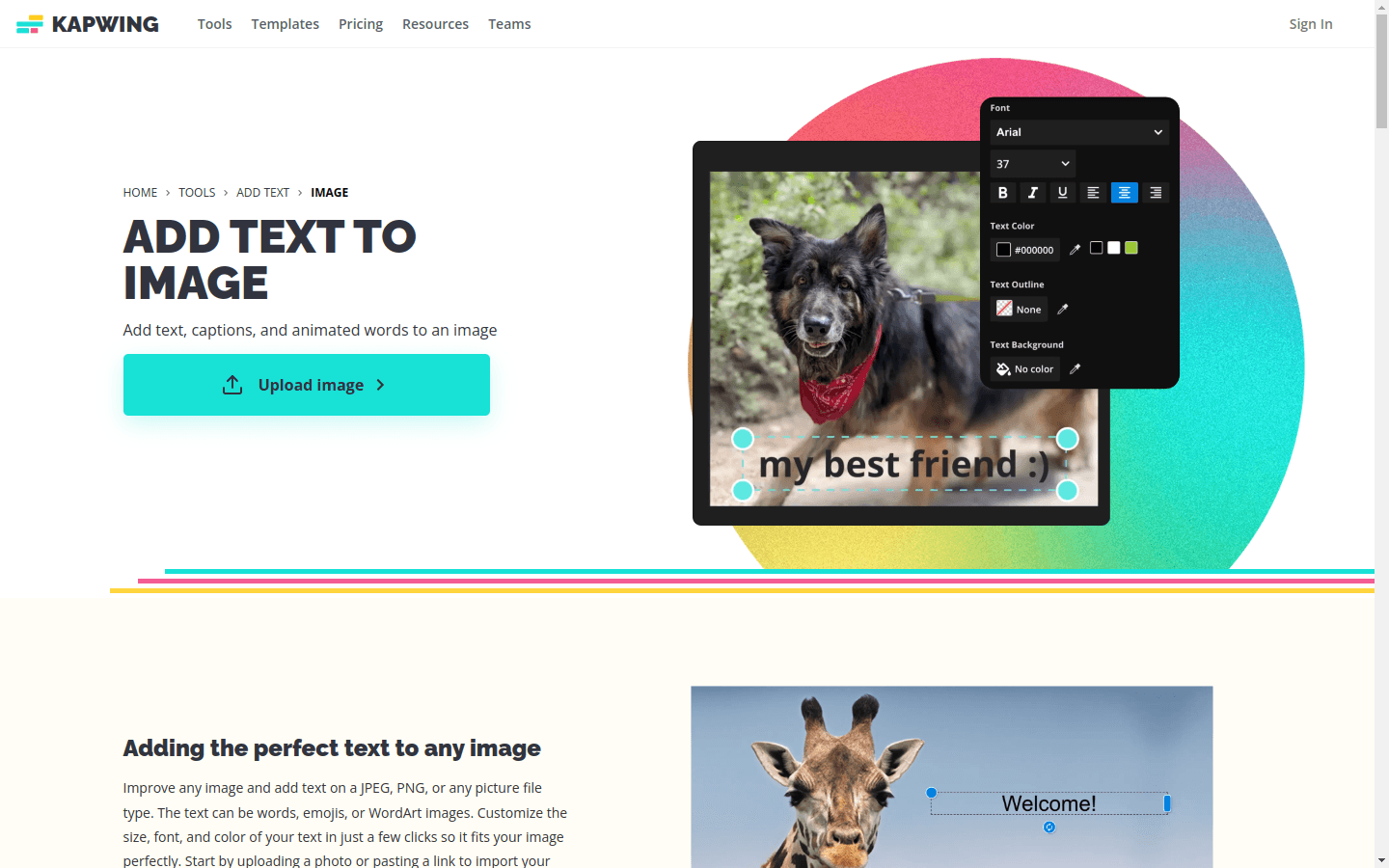 Add Text to Image preview